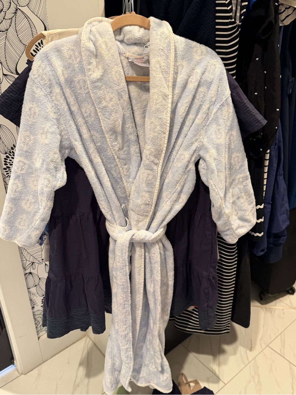 Plush Women's Light Blue Shawl Collar Robe